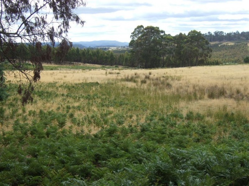 759 Tin Pot Marsh Road, Stonehenge TAS 7120