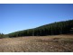 759 Tin Pot Marsh Road, Stonehenge TAS 7120