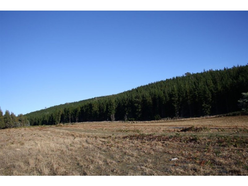 759 Tin Pot Marsh Road, Stonehenge TAS 7120