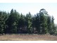 759 Tin Pot Marsh Road, Stonehenge TAS 7120