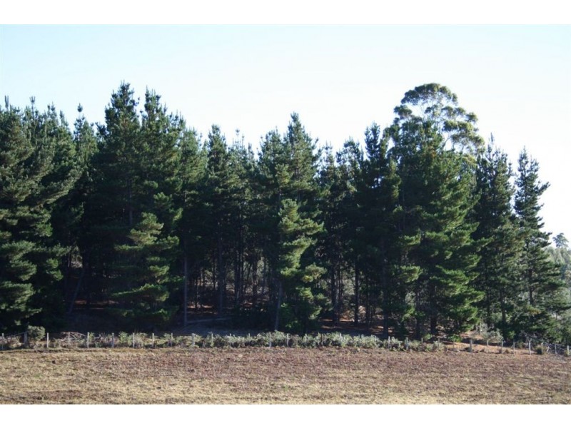759 Tin Pot Marsh Road, Stonehenge TAS 7120