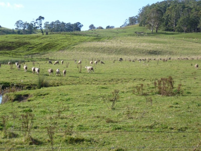 367 Claude Road, Sheffield TAS 7306