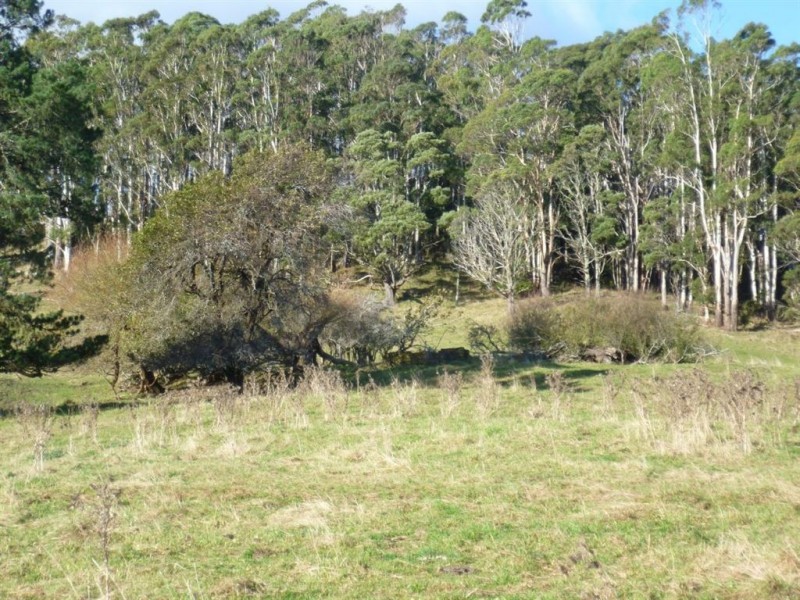 367 Claude Road, Sheffield TAS 7306