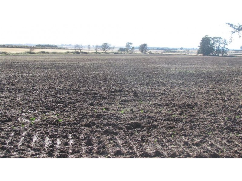 510 Green Rises Road, Cressy TAS 7302