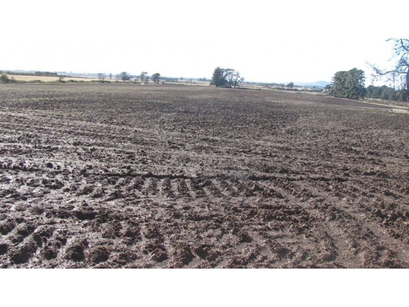 510 Green Rises Road, Cressy TAS 7302