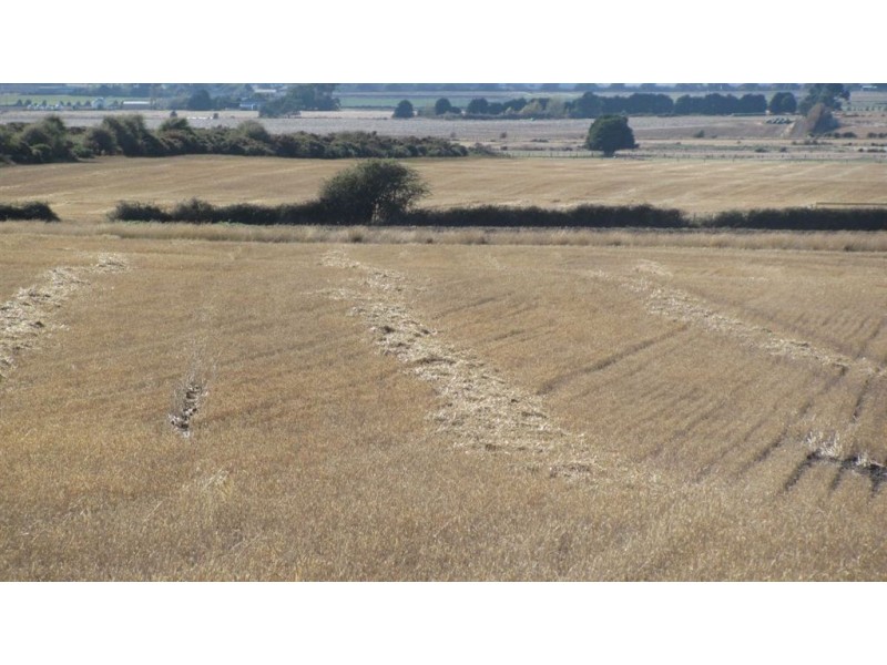 510 Green Rises Road, Cressy TAS 7302