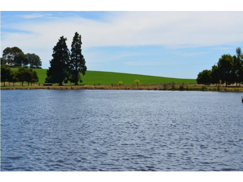 160 Skelbrook Lane, Sassafras TAS 7307