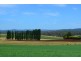 160 Skelbrook Lane, Sassafras TAS 7307