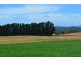 160 Skelbrook Lane, Sassafras TAS 7307