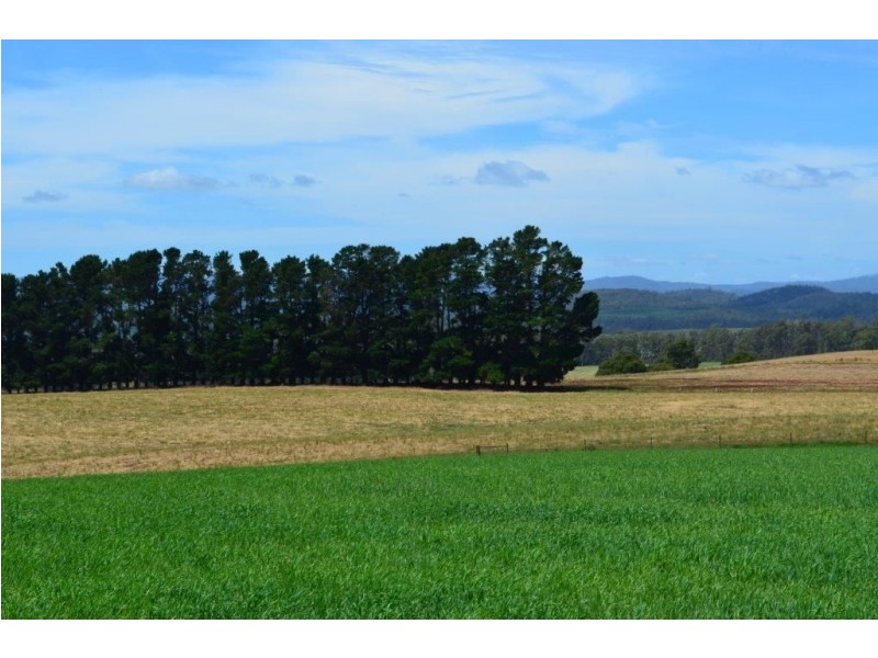 160 Skelbrook Lane, Sassafras TAS 7307