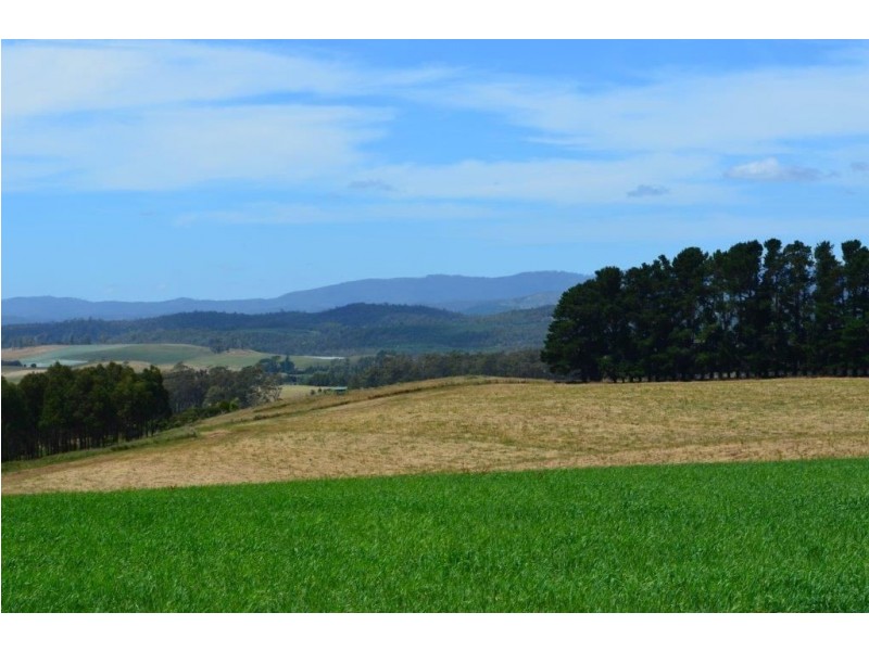160 Skelbrook Lane, Sassafras TAS 7307