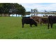 160 Skelbrook Lane, Sassafras TAS 7307
