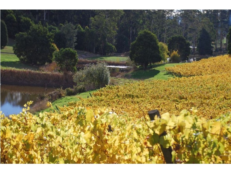 76 Brooks Road, Lalla TAS 7267