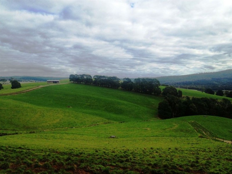 30 McNaughts Road, Winnaleah TAS 7265