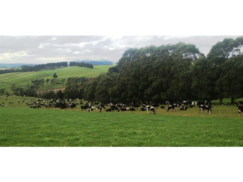 30 McNaughts Road, Winnaleah TAS 7265