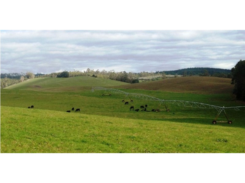 30 McNaughts Road, Winnaleah TAS 7265