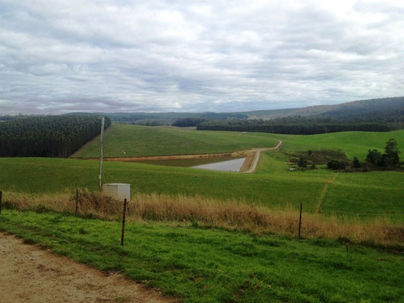 30 McNaughts Road, Winnaleah TAS 7265