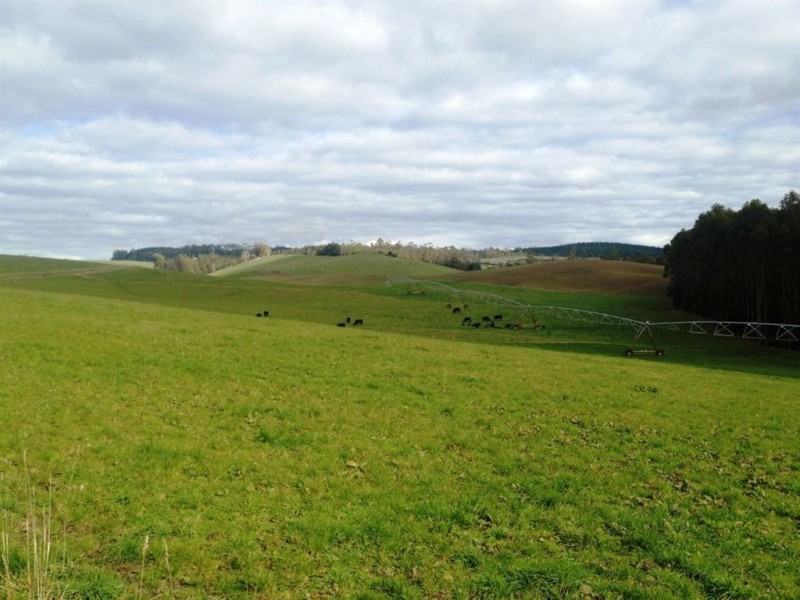 30 McNaughts Road, Winnaleah TAS 7265