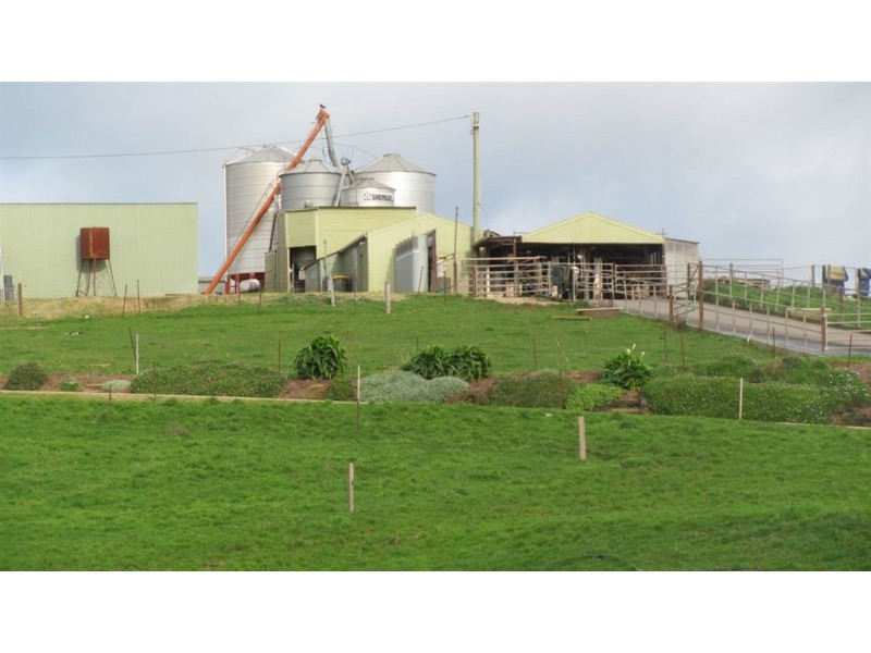 30 McNaughts Road, Winnaleah TAS 7265