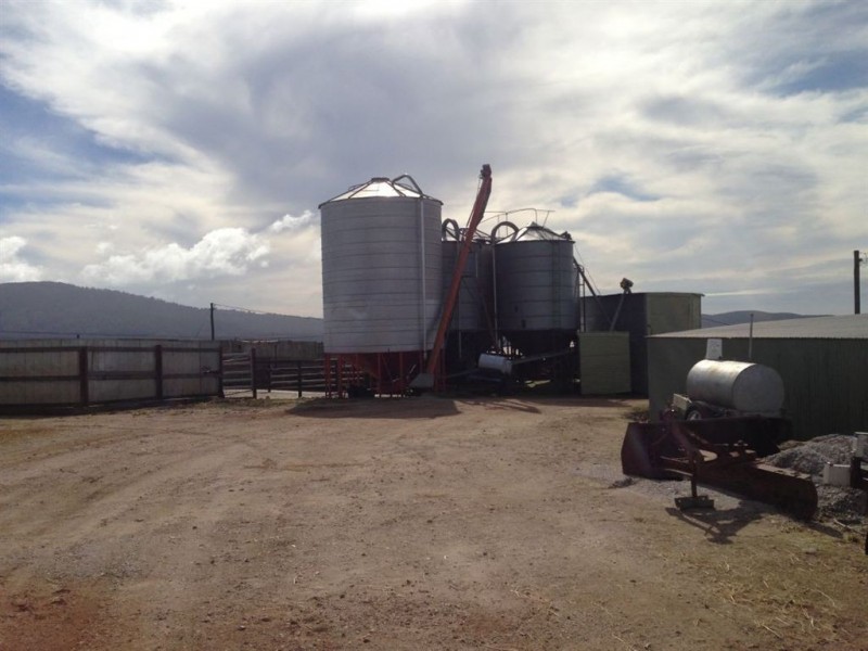 30 McNaughts Road, Winnaleah TAS 7265