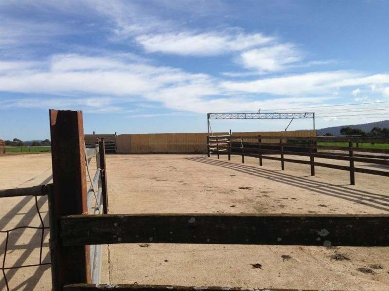 30 McNaughts Road, Winnaleah TAS 7265