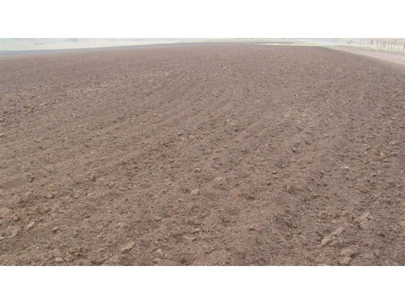 1275 Clifton Vale Road, Dysart TAS 7030