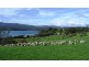 Blackwood Hills Road, Rowella TAS 7270