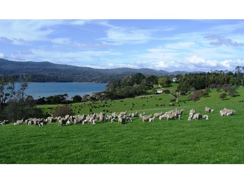 Blackwood Hills Road, Rowella TAS 7270