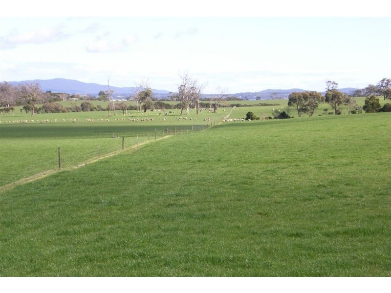 Blackwood Hills Road, Rowella TAS 7270