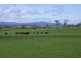 Blackwood Hills Road, Rowella TAS 7270