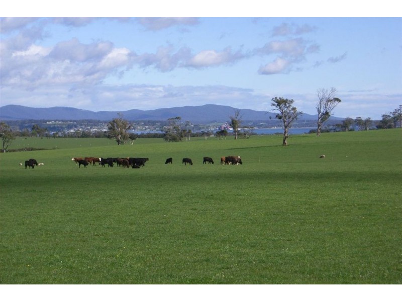 Blackwood Hills Road, Rowella TAS 7270