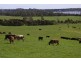 Blackwood Hills Road, Rowella TAS 7270