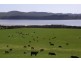 Blackwood Hills Road, Rowella TAS 7270