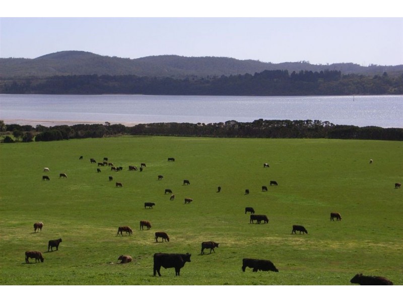 Blackwood Hills Road, Rowella TAS 7270