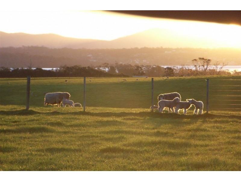 Blackwood Hills Road, Rowella TAS 7270