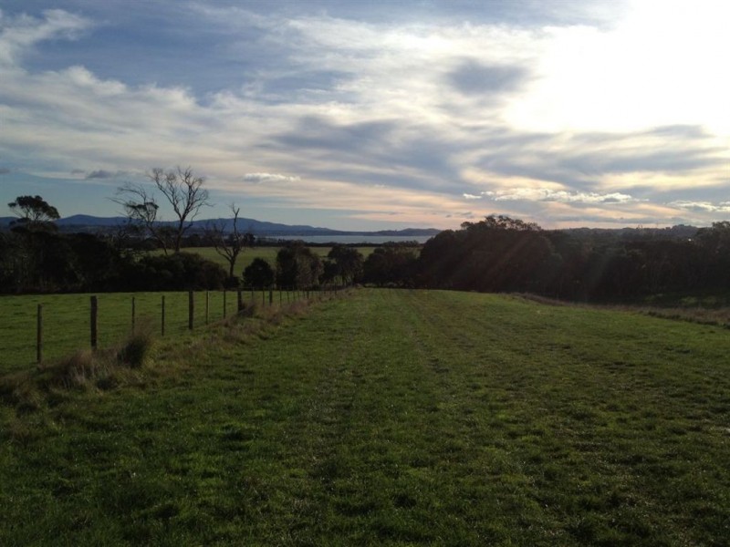 Blackwood Hills, Blackwood Hills Road, Rowella TAS 7270