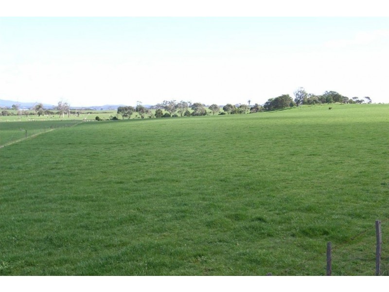 Blackwood Hills, Blackwood Hills Road, Rowella TAS 7270