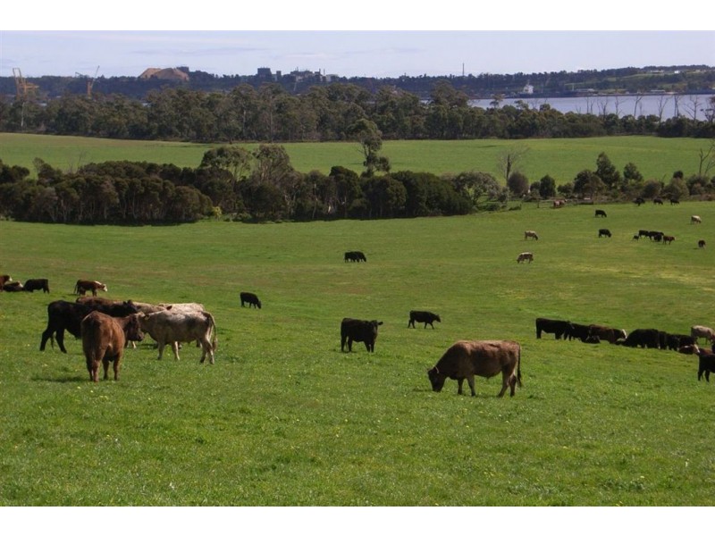 Wilmores Bluff, Blackwood Hills Road, Rowella TAS 7270