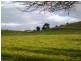 3797 Meander Valley Road, Exton TAS 7303