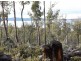 Poatina Road, Arthurs Lake TAS 7030