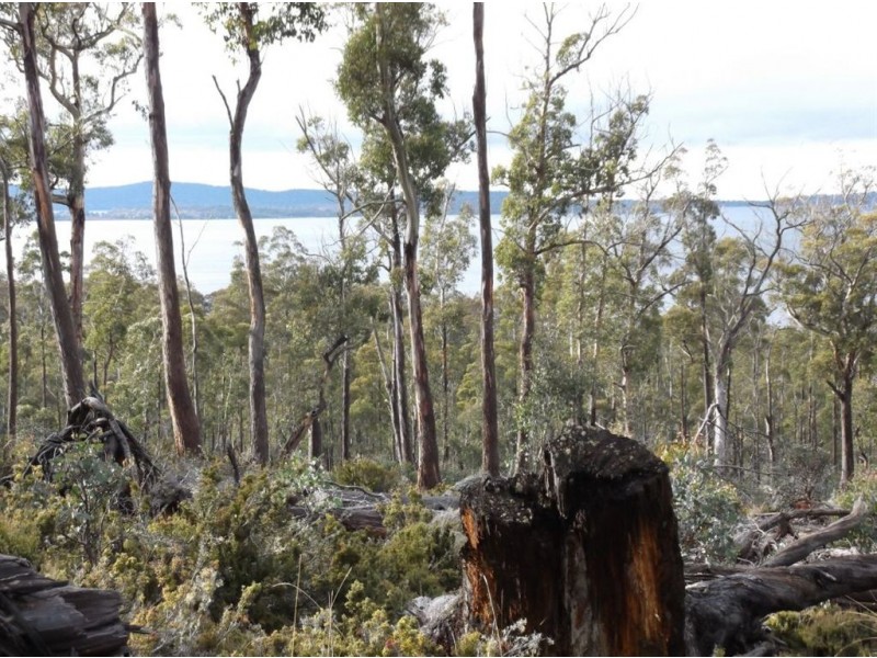 Poatina Road, Arthurs Lake TAS 7030