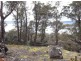 Poatina Road, Arthurs Lake TAS 7030