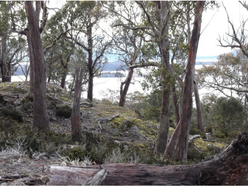 Poatina Road, Arthurs Lake TAS 7030