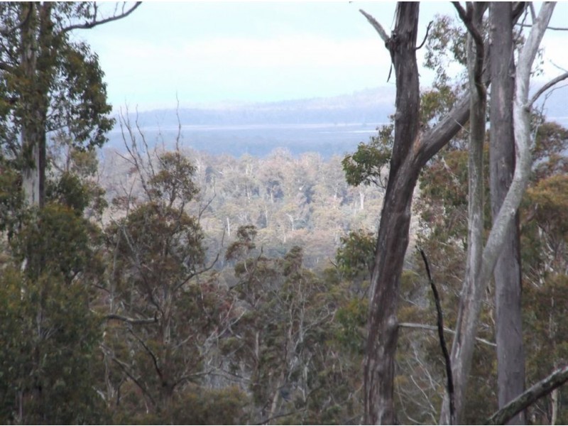 Poatina Road, Arthurs Lake TAS 7030