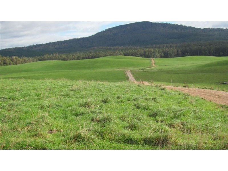 79 Wagners Road “Mountainview”, Winnaleah TAS 7265