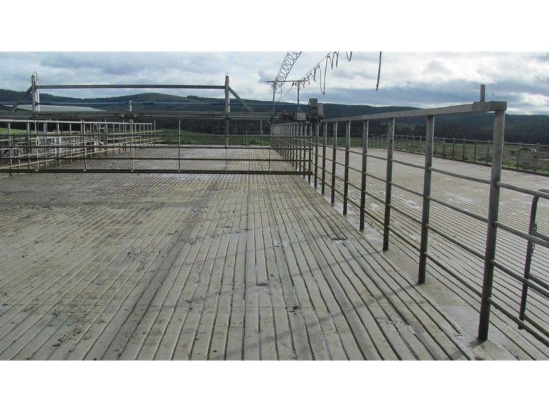 79 Wagners Road “Mountainview”, Winnaleah TAS 7265