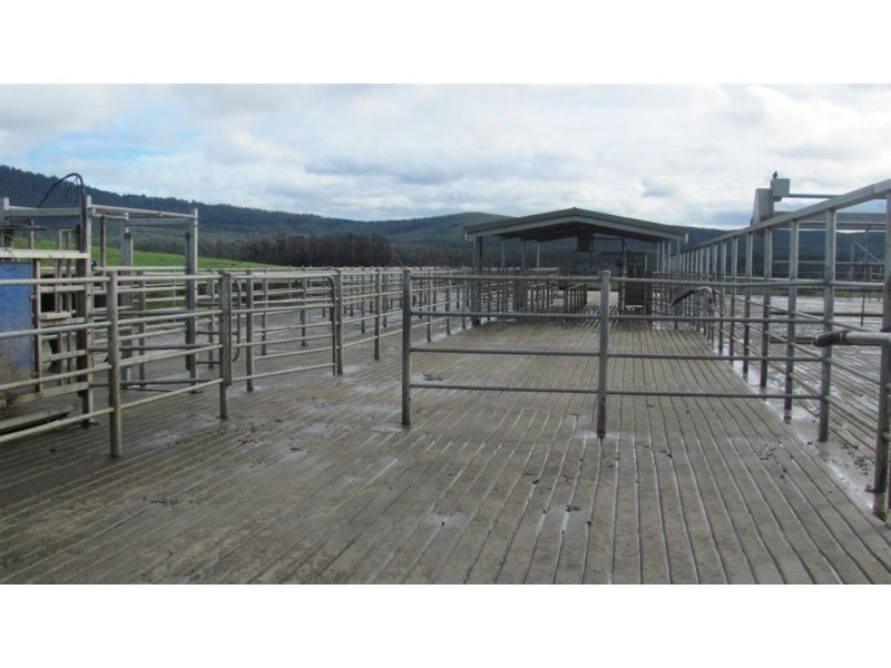 79 Wagners Road “Mountainview”, Winnaleah TAS 7265