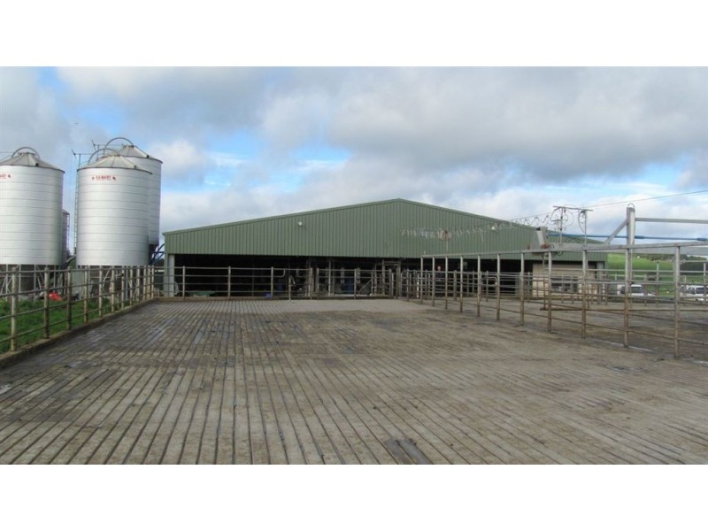 79 Wagners Road “Mountainview”, Winnaleah TAS 7265