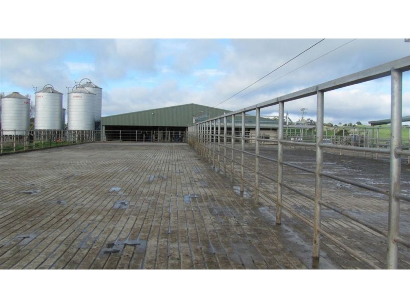 79 Wagners Road “Mountainview”, Winnaleah TAS 7265