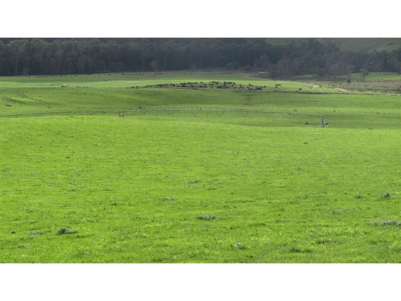 79 Wagners Road “Mountainview”, Winnaleah TAS 7265